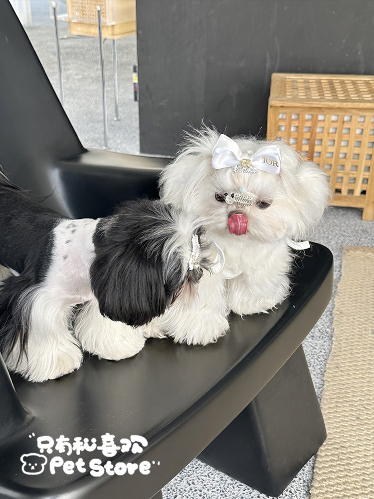 手工迷你碎发宠物bb夹蝴蝶结发夹饰品猫咪头饰约克夏马尔济斯比熊,淘宝优惠券,粉丝福利购,淘宝优惠卷