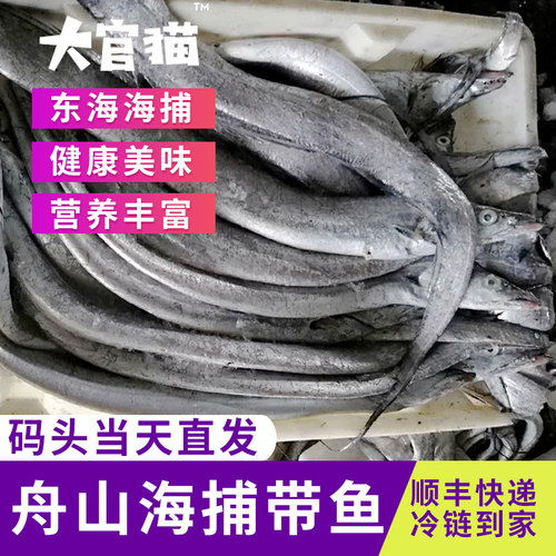 舟山东海小眼睛野生带鱼刀鱼新鲜特级大带鱼整条 无冰 5斤装包邮 - 图0
