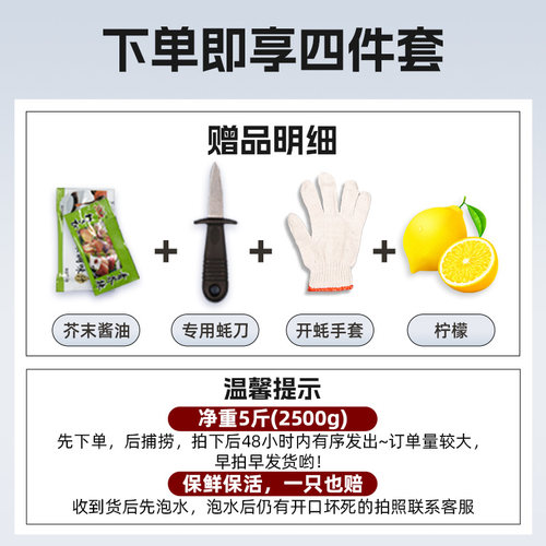 生蚝小镇生食刺身级大连生蚝鲜活海鲜牡蛎水产礼盒绿色食品5斤 - 图2