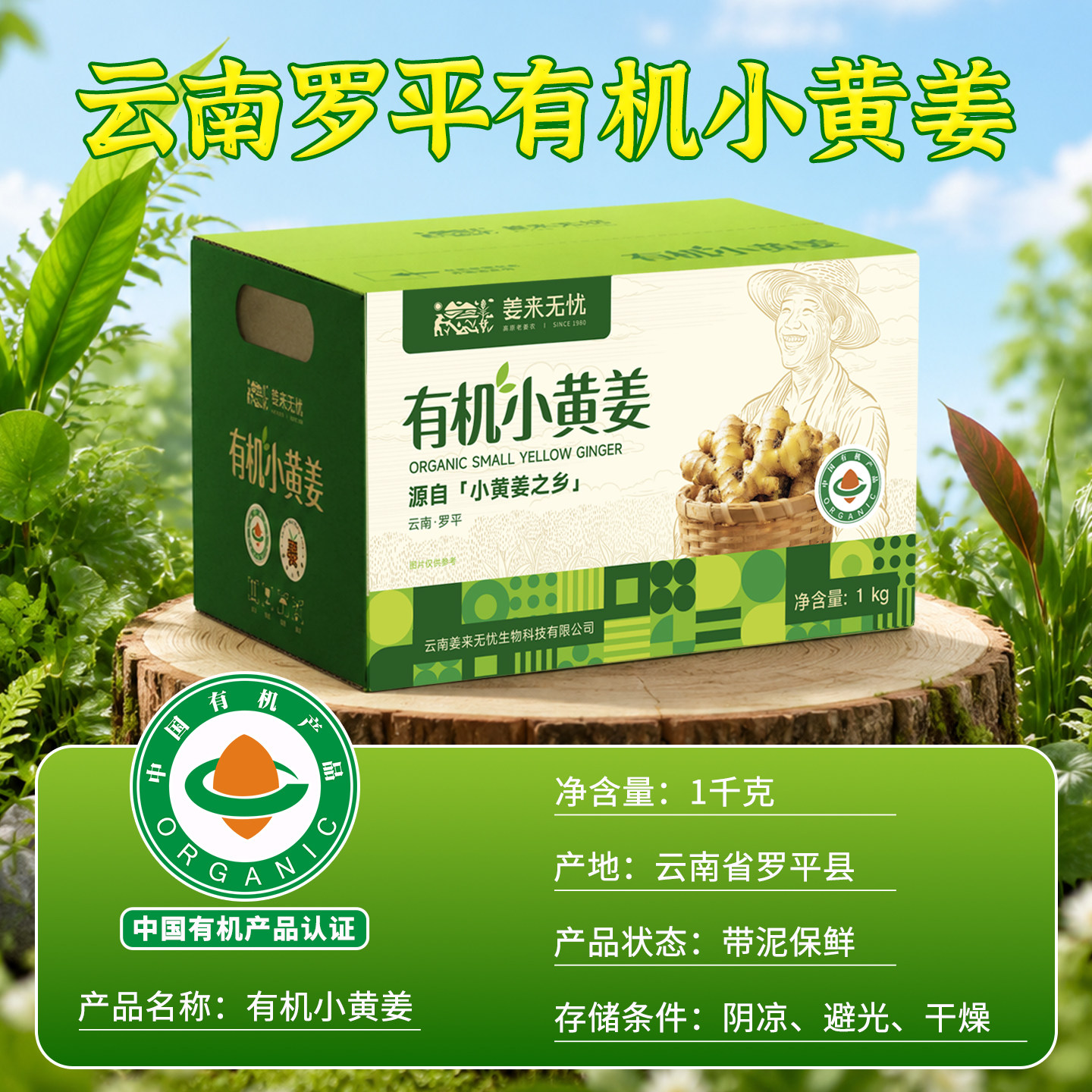 图3