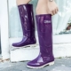 9122 Purple [Summer Edition]