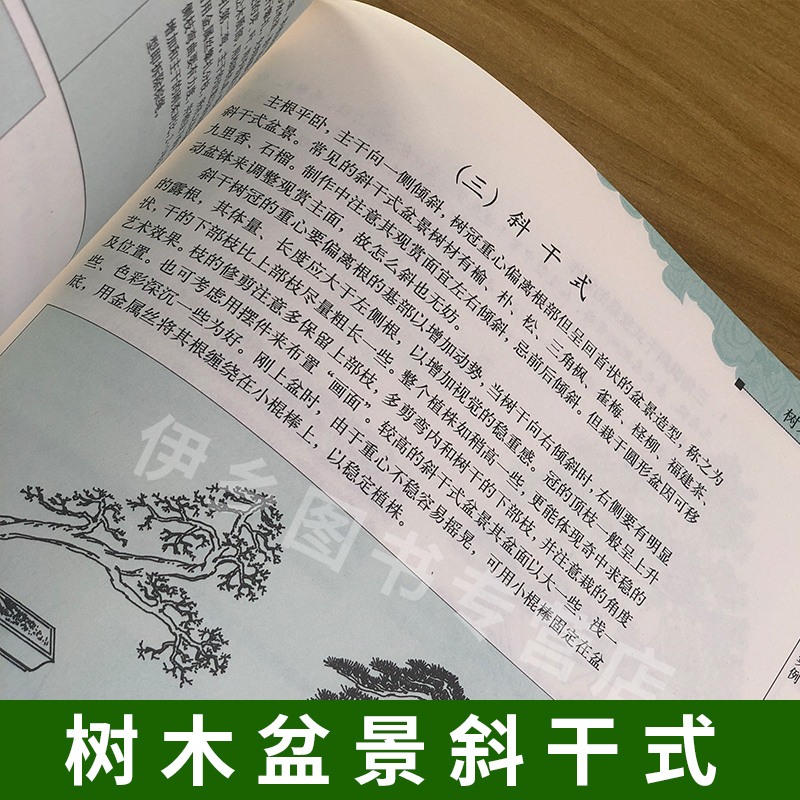 树木盆景制作技法修订版 吴诗华汪传龙 家庭园艺养护盆景设计栽培书籍盆栽种植艺术盆景防虫知识造型制作书籍休闲种植风格流派介绍 - 图2