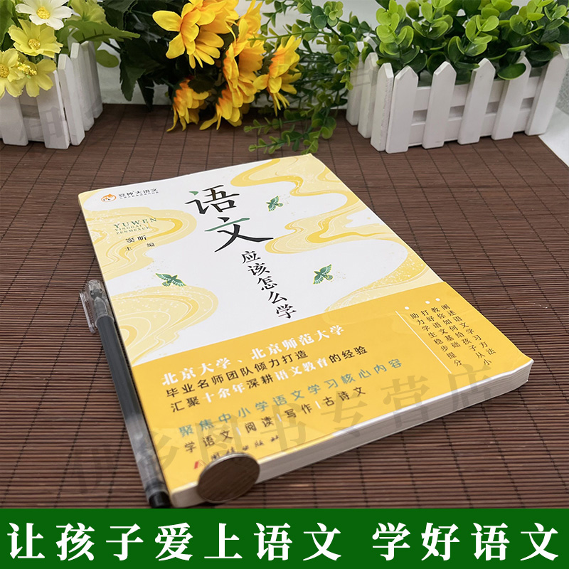 正版包邮 语文应该怎么学 正确引导正在读幼儿园大班孩子打好语文学习基础好妈妈胜过好老师育儿书籍父母必读教育幼儿园孩子的书籍 - 图0