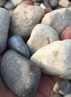 五岳石东岳泰山西岳华山石南岳衡山石北岳恒山石中岳嵩山石