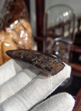 惠安天然沉水奇楠沉香手工雕观音