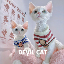 German curly cat young cat living system breed pedigly blue eyed pure black pure white black and white pet cat not dropping hair cub