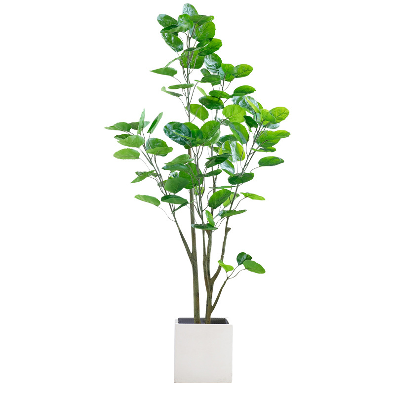 Simulated Yuanbao tree money tree green plant potted large - 图2