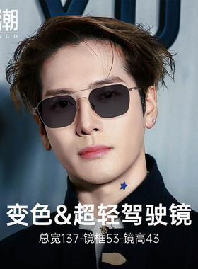 男士变色眼镜飞行员近视驾驶墨镜