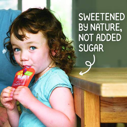 美国直邮 Happy Baby Organics Snacks 有机婴儿儿童果泥辅食泥 - 图1