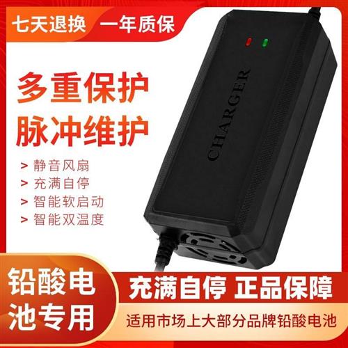 动车电瓶车充电器48V12AH60V202A7V3雅迪电爱玛新日小刀台铃通001 - 图0