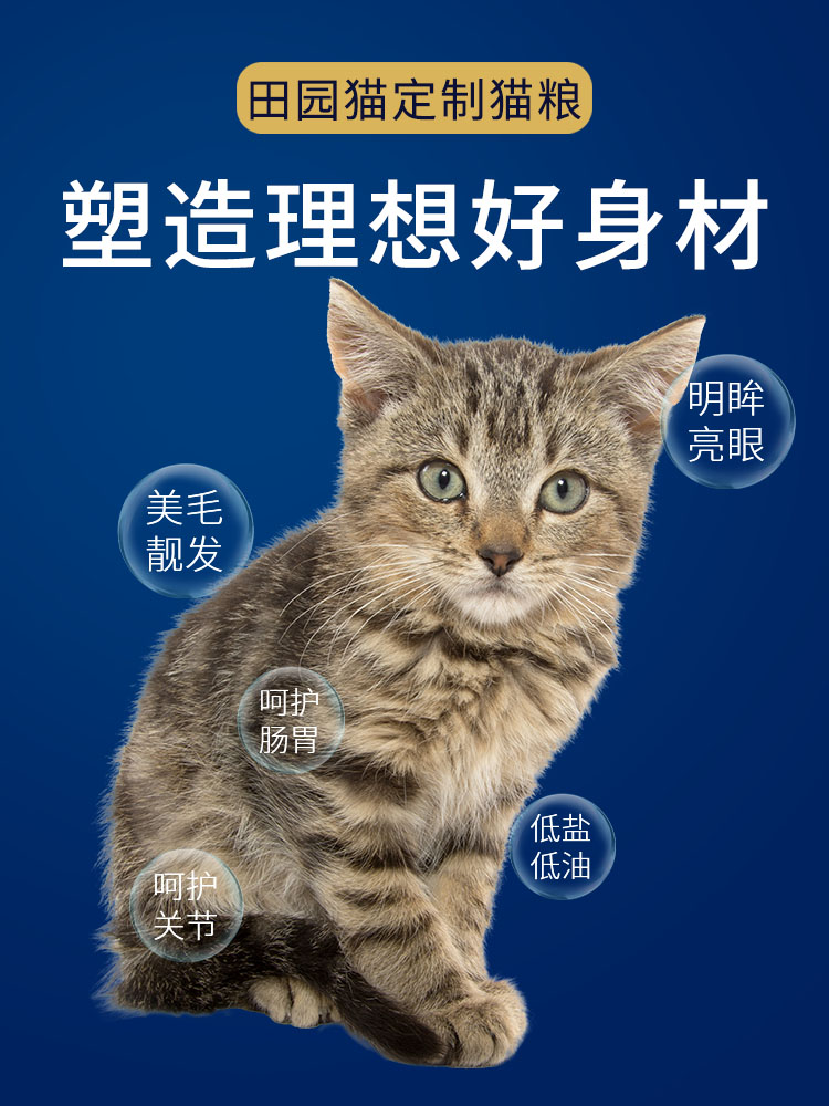 中华田园狸花猫橘猫土猫幼猫成猫冻干全价品牌专用猫粮宠物增肥 - 图2