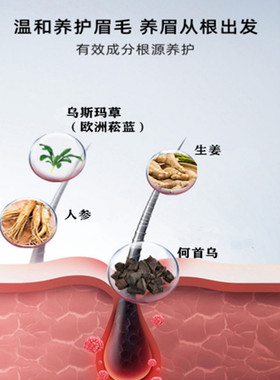 新疆乌斯玛草眉毛滋养液液体眉笔