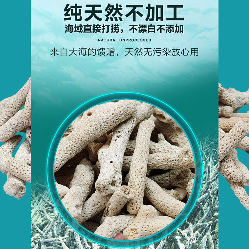 天然珊瑚骨滤材鱼缸过滤材料培菌净水鱼池滤材水族箱造景砂珊瑚石 - 图1