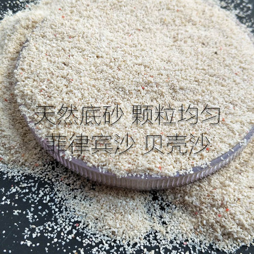 天然鱼缸底砂贝壳砂三湖砂海沙菲律宾沙鱼缸造景装饰慈鲷寄居蟹沙 - 图1