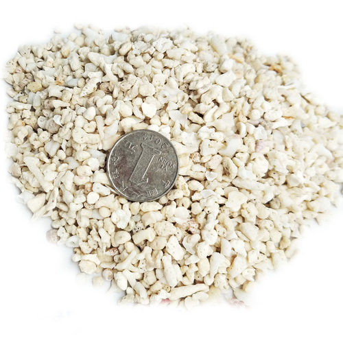 天然鱼缸底砂贝壳砂三湖砂海沙菲律宾沙鱼缸造景装饰慈鲷寄居蟹沙 - 图3