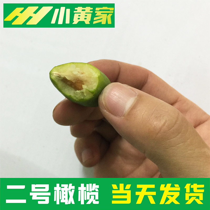 (原汁原味｜不泡糖精) 新鲜水果甜种二号青橄榄 农家自种青果500g - 图1