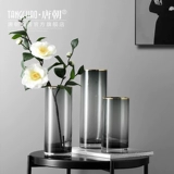 Nordic Light Luxury Gold Edge Glass Transparent Pright Tube Vase Swing Flow
