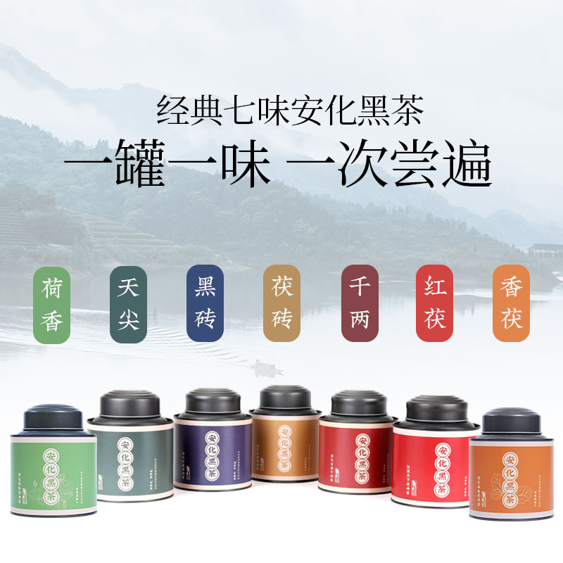 正宗湖南安化黑茶桑香金花正品茶叶 安化黑茶安化黑茶