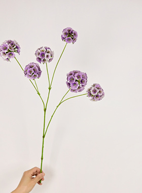 风车果花材假花室内家居装饰花瓶插花摄影道具新款