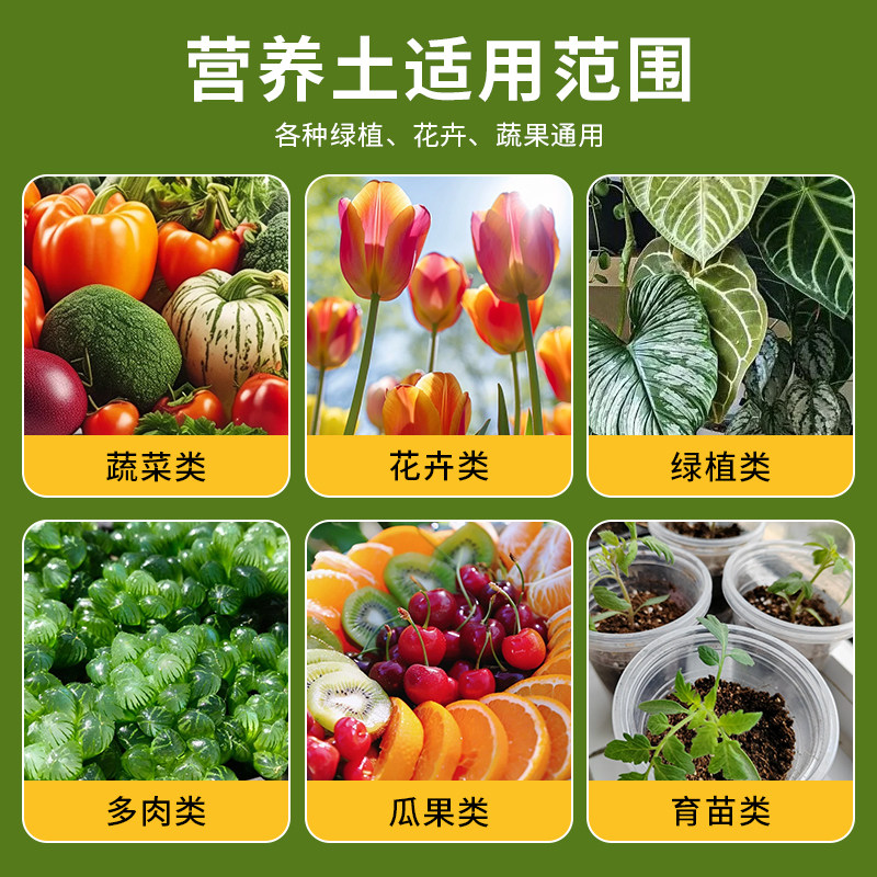 营养土养花通用专用型土壤种植土家用多肉盆栽园艺肥料花卉绿植用
