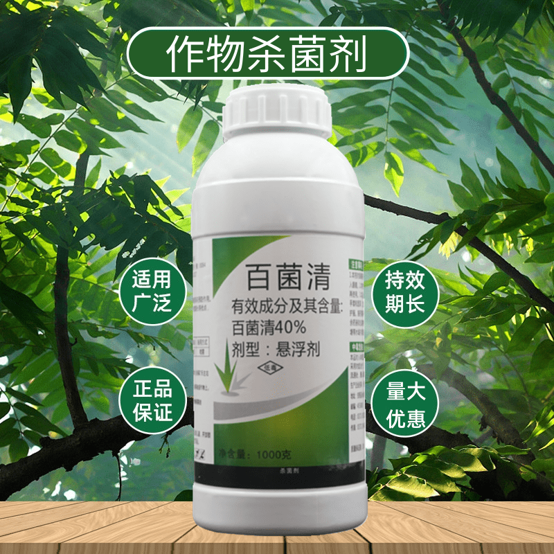 40%百菌清果树蔬菜花卉杀菌剂锈病炭疽病白粉病叶斑病霜霉病农药-图2