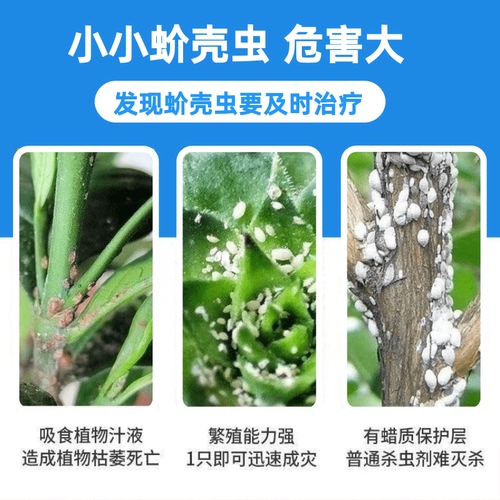 蚧壳虫药介壳虫专用药梨木虱18%吡虫噻嗪酮柑橘果树农药批杀虫剂