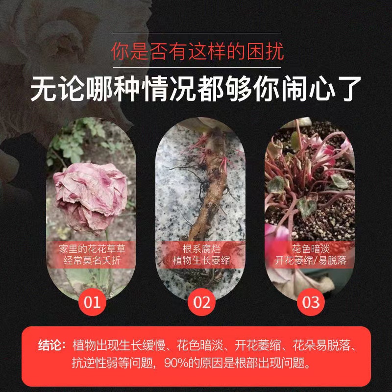 生根壮苗剂生根粉生根液移栽扦插果树花卉绿萝生发根 强力发根剂 - 图2