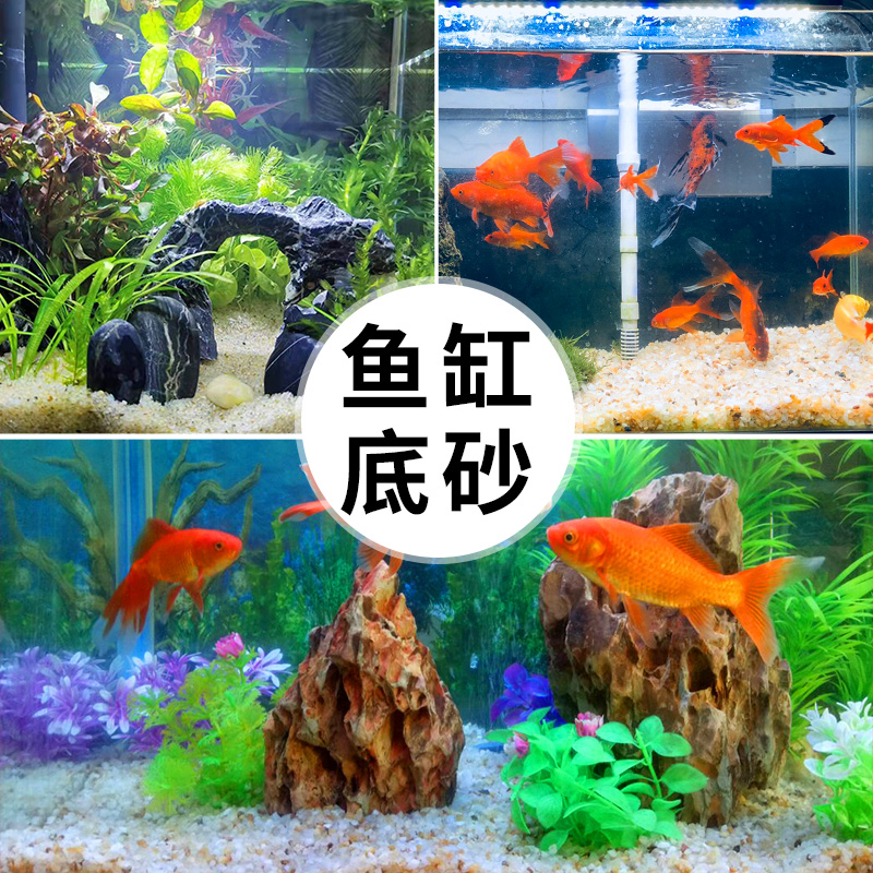 天然河沙水晶沙鱼缸底砂专用粗沙细沙专用沙多肉铺面养花养鱼砂石-图3