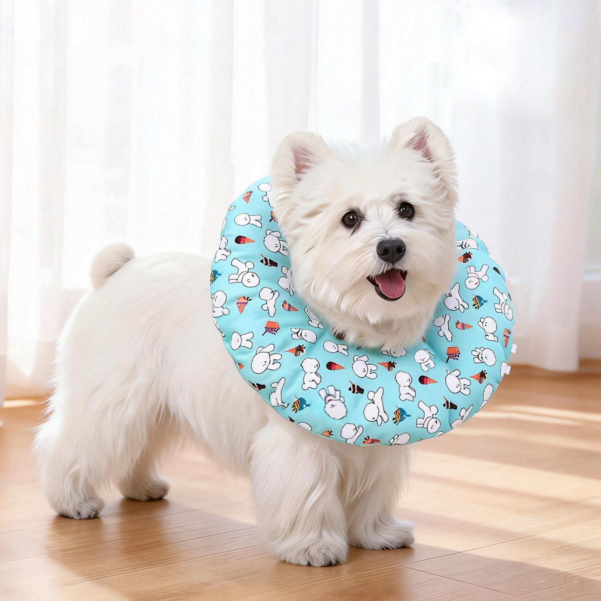 宠物狗狗猫咪伊丽莎白圈绝育用品防舔西高地小狗软头套小型犬脖圈,淘宝优惠券,粉丝福利购,淘宝优惠卷