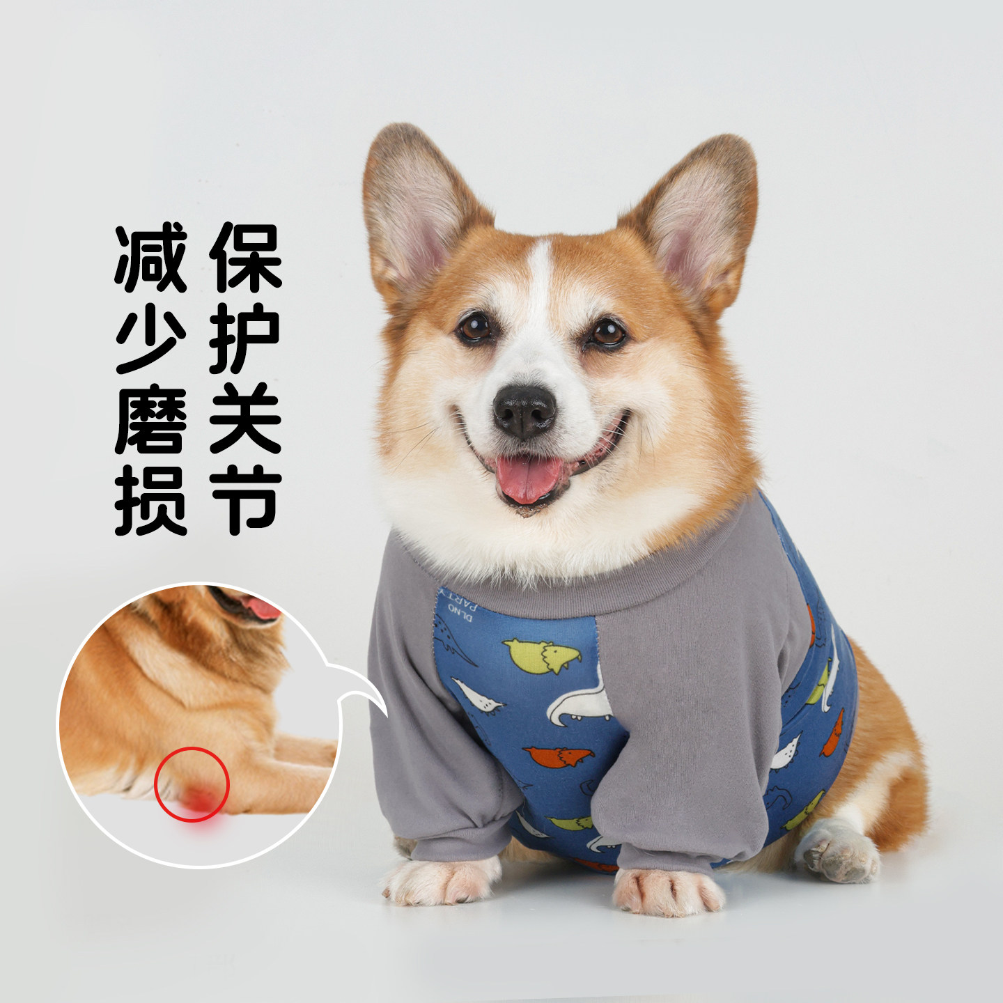 宠物衣服秋季狗狗护肘衣关节保护套柯基法斗防脏护膝护肘关节套狗,淘宝优惠券,粉丝福利购,淘宝优惠卷