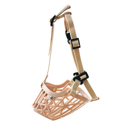 Pet dog corgi teddy muzzle to prevent eating and biting