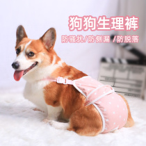 Pets Puppy Physiological Pants Women Dogs Aunt Pants Aunt pants Physiological Period Motherf Anti-Harassment Menstrual Pants Sanitary Napkins