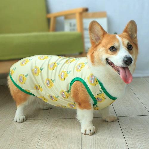 Тонкий летний жилет, осенний шнурок-держатель, популярно в интернете