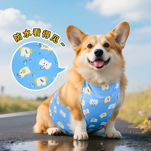 Петучная собака Анти-дурацкие животы для всех сезонов водонепроницаем