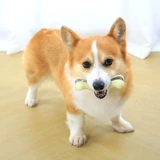 Игра с едой, игрушка, прорезыватель для правильного прикуса, домашний питомец, избавление от скуки