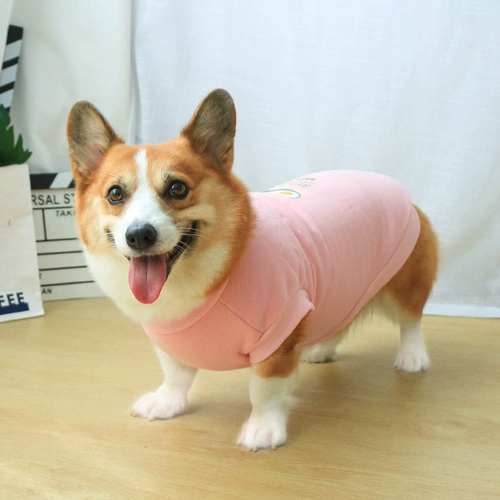 Демисезонный осенний пуховик, милое фруктовое масло, зимняя толстовка, осенний сезон