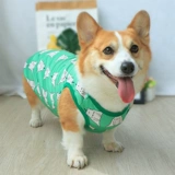 Тонкий летний жилет, осенний шнурок-держатель, популярно в интернете