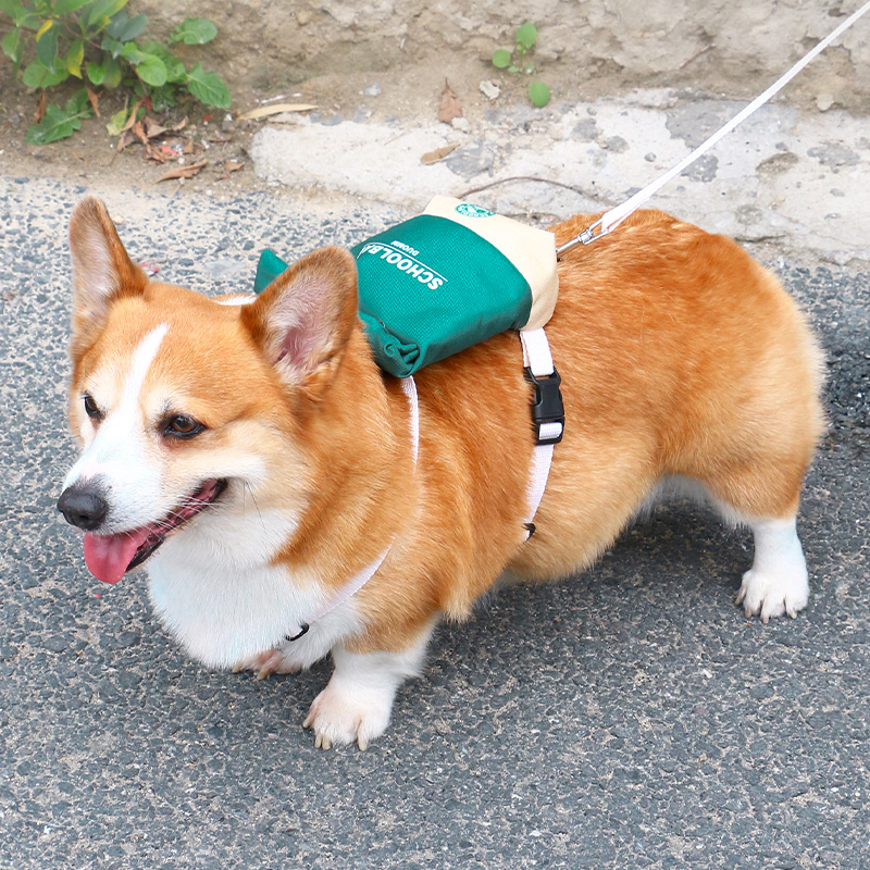 宠物狗狗自背包外出背包遛狗柯基泰迪柴犬小型犬书包胸背带牵引绳 - 图2