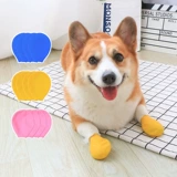 Пет -собака дождевится дождевые медведи Водонепроницаемые анти -лиртные