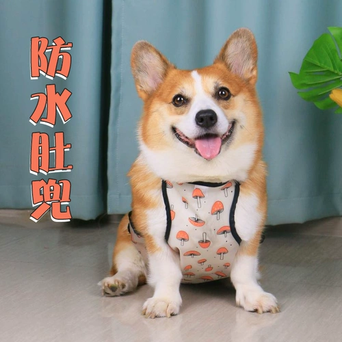 Защита от живота для живота живота защиты от живота от холодного щетки Corgi Teddy Pupp