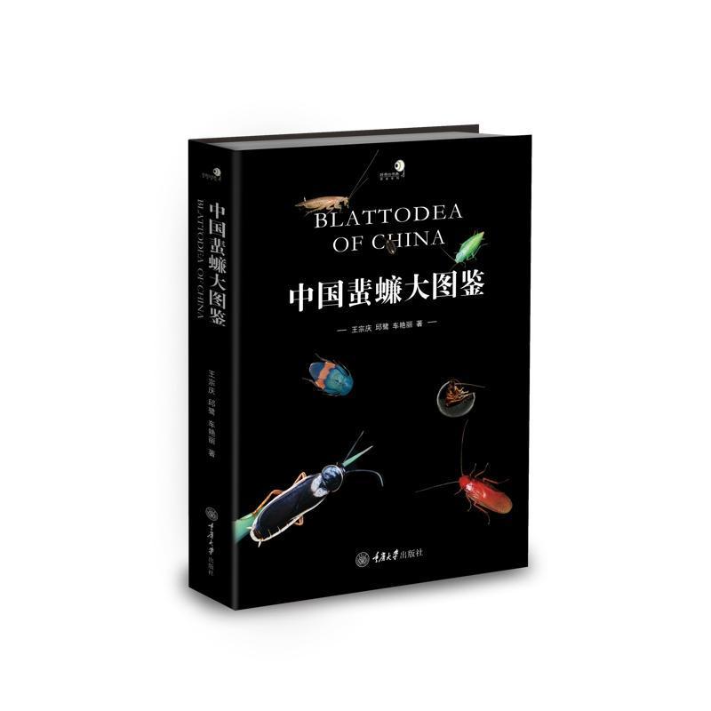 【正版现货】中国蜚蠊大图鉴 古老的昆虫 蟑螂和白蚁 国内第y本系统介绍我国蜚蠊目昆虫的彩色大图鉴收录蜚蠊目 7 科 65 属 310 种