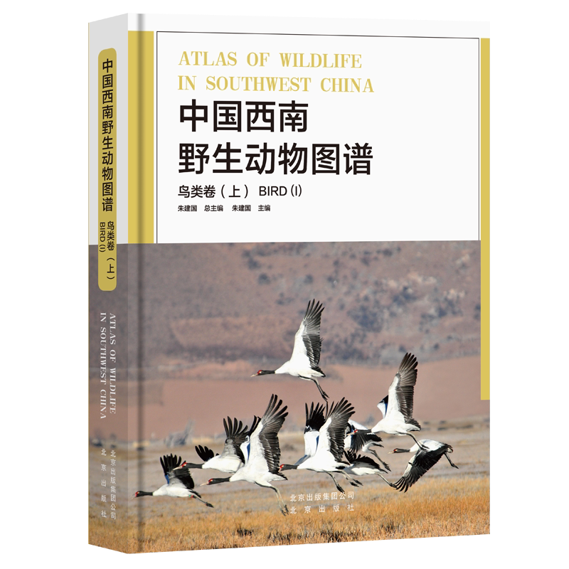 晚鸟 新人首单立减十元 22年1月 淘宝海外
