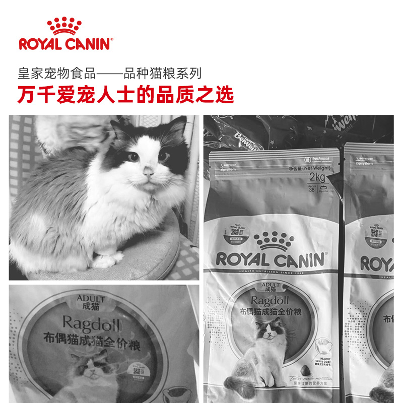 皇家RA32布偶猫专用猫粮/2KG成猫粮长毛双蓝营养增肥发腮 - 图0