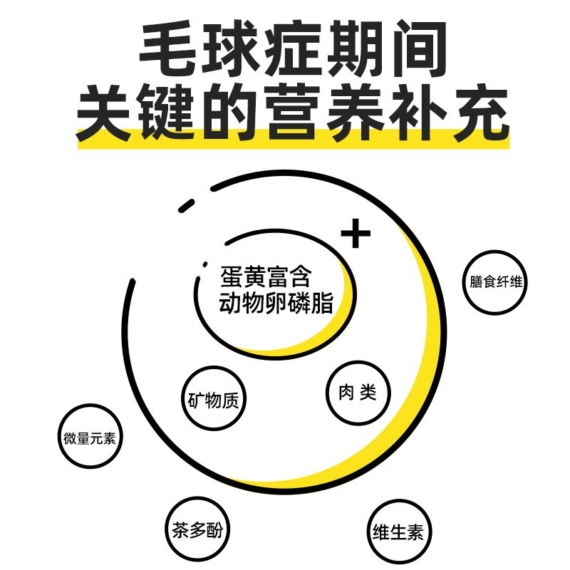 诚实一口化毛膏营养膏去毛球增强免疫鱼油猫草片猫狗猫咪用维生素,淘宝优惠券,粉丝福利购,淘宝优惠卷