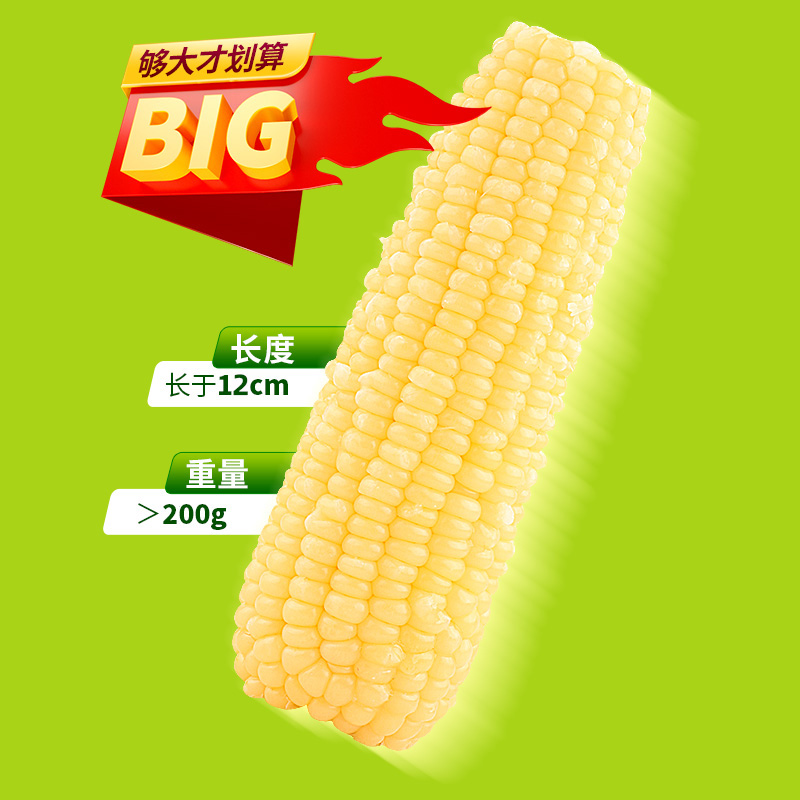 【今日狂补】东北玉米新鲜白糯玉米大棒苞米240gX8支粘玉米真空装 - 图0