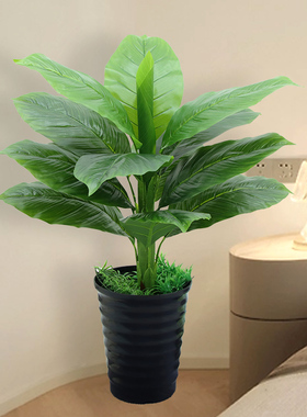仿真植物当头鸿运客厅落地小红掌