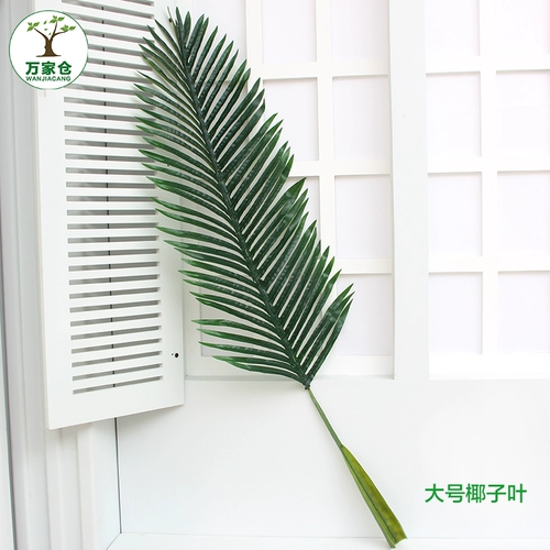 Моделирование растений Санцзянфлауэр лист лист лист лист лист пальмовые листья гостиная