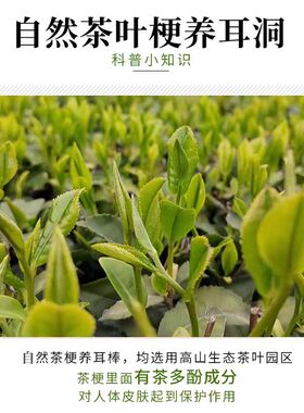 茶叶梗耳棒养耳洞防堵针隐形耳针