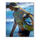 Sorolla oil painting collection