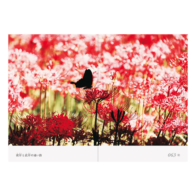 A collection of 100 erotic photos of the four seasons